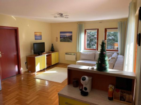 Yellow & Green Apartment